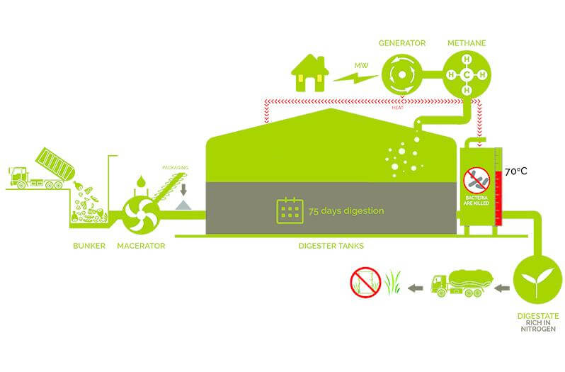 Infographic for the Anaerobic Digestion process for Food Waste