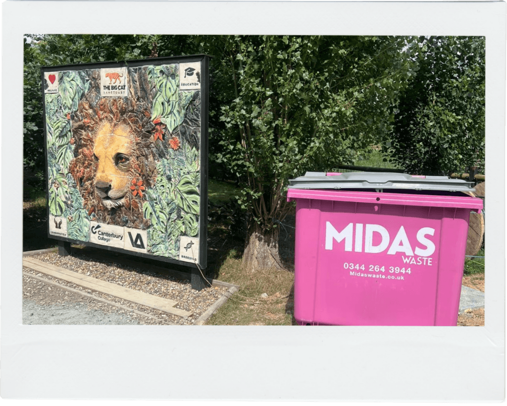A Midas Waste wheelie bin next to the entrance sign for the Big Cat Sanctuary in Kent